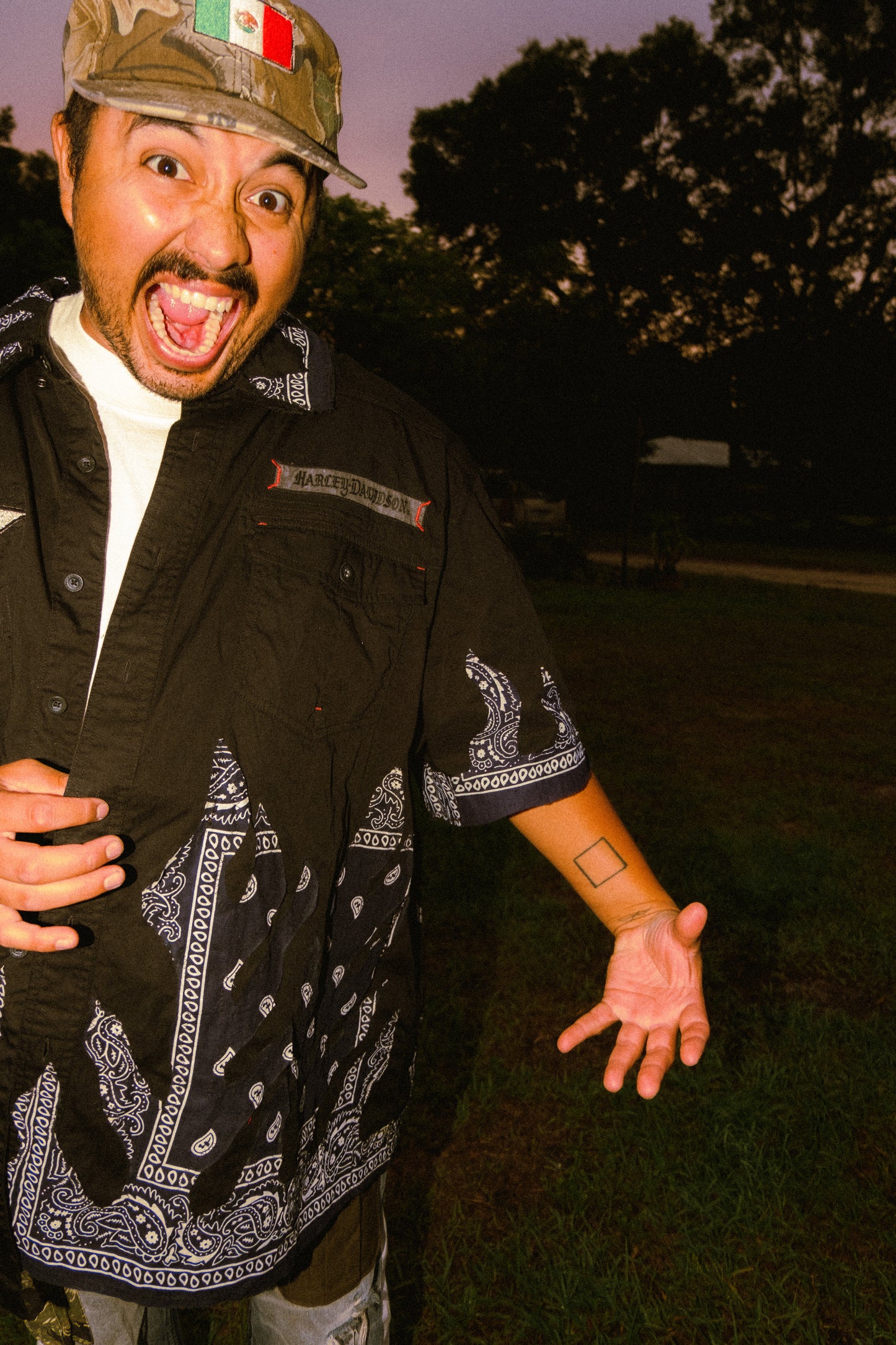 Harley Davidson flame button shirt