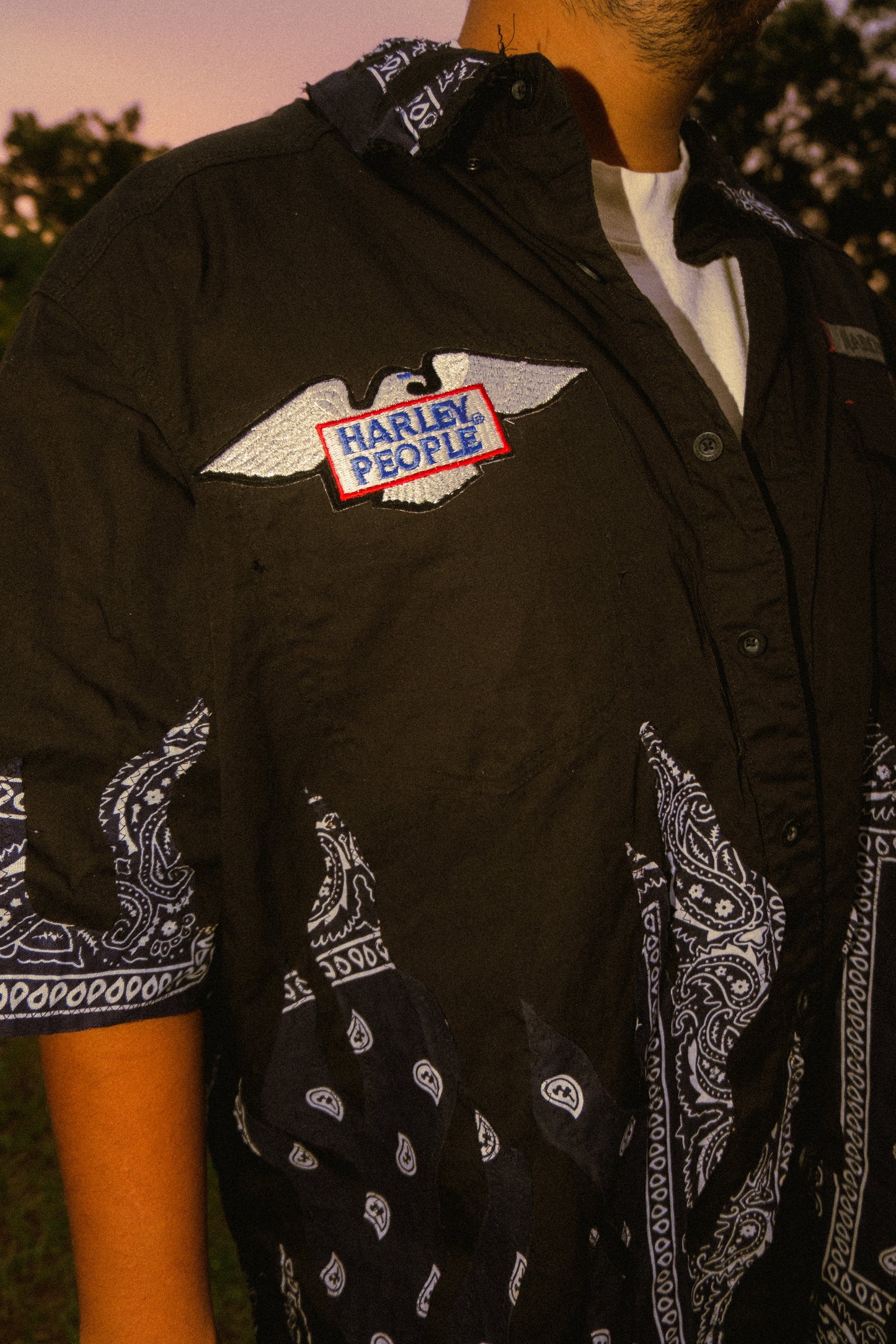 Harley Davidson flame button shirt
