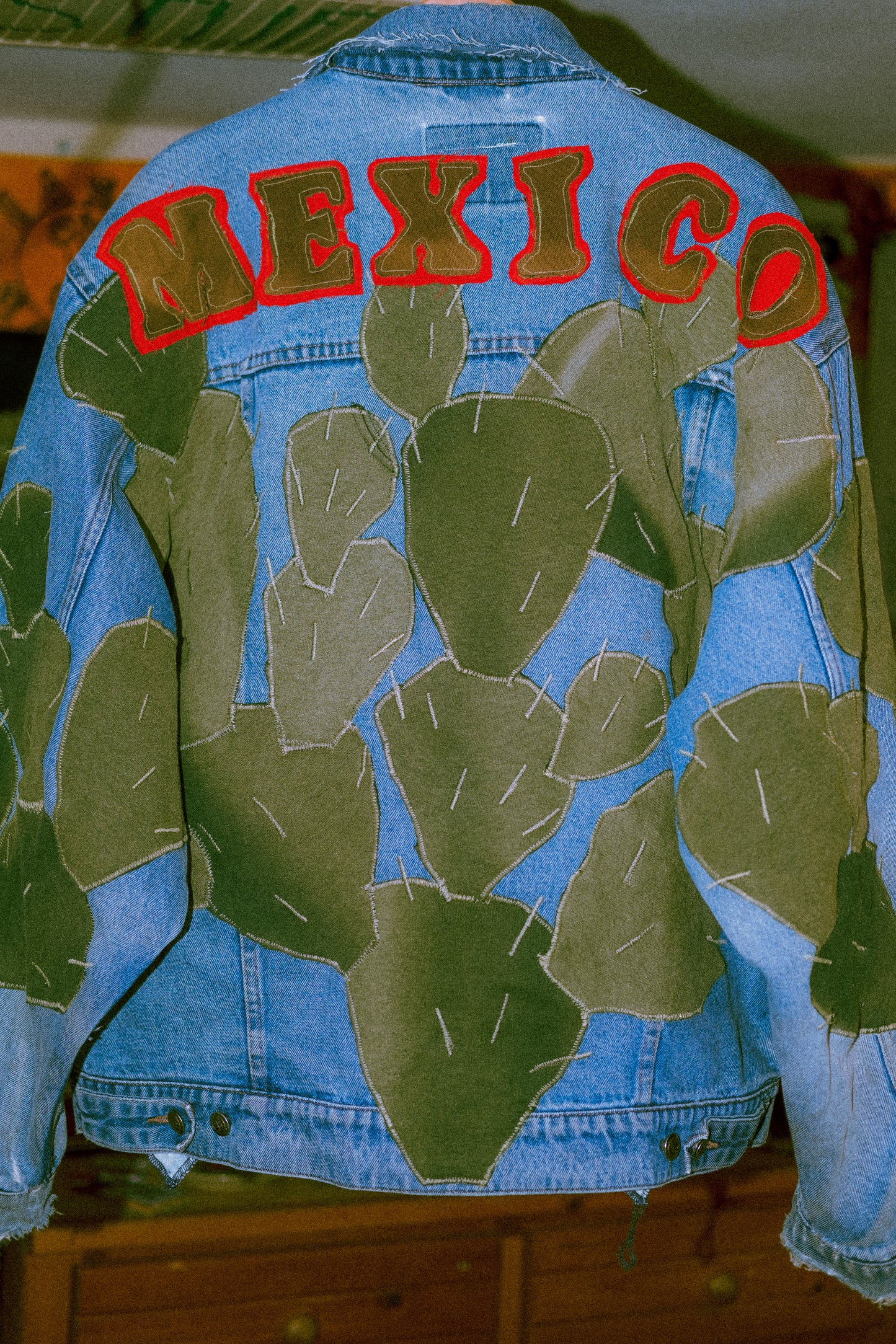 Mexico cactus jacket