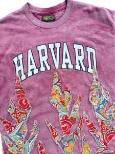 sun faded Harvard paisley flame tee
