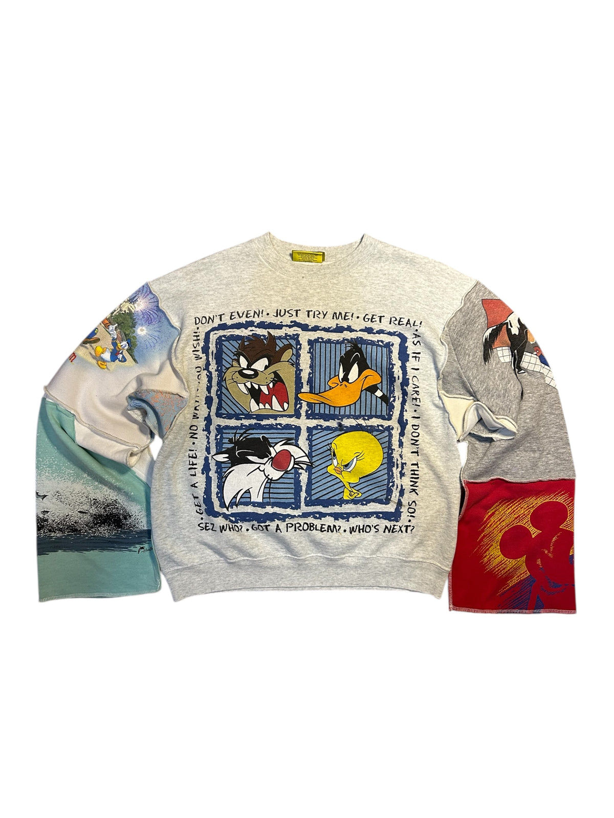 Looney tunes multi sweatshirt