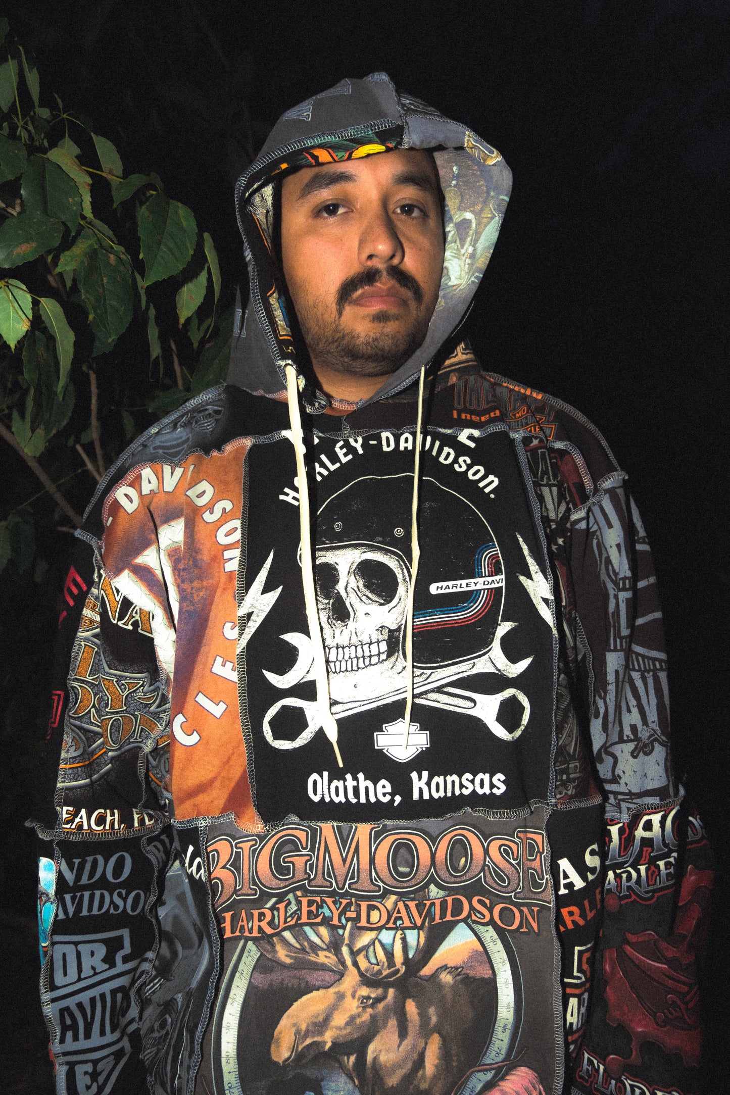 Harley Davidson multishirt hoodie