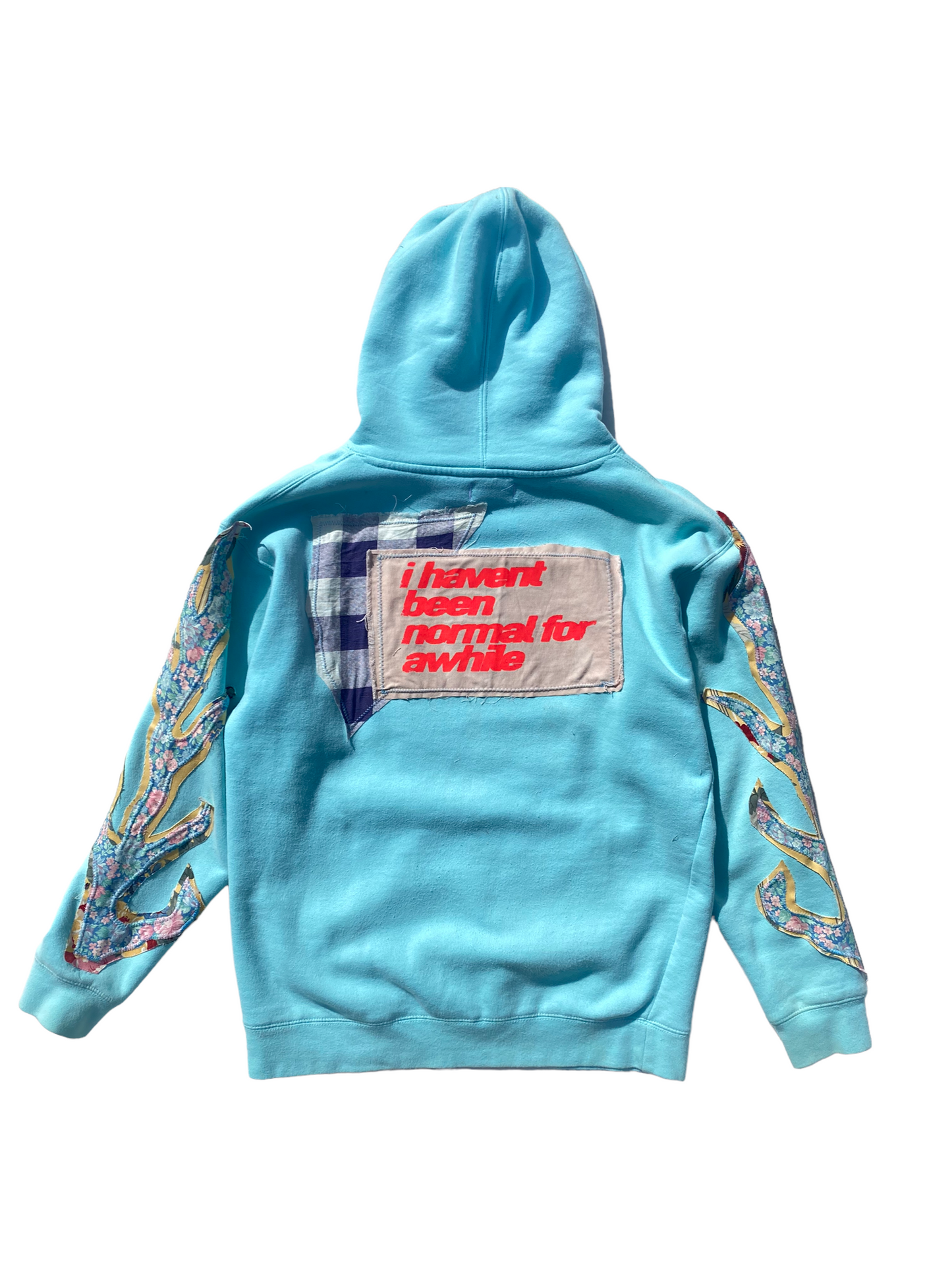 baby blue head hoodie