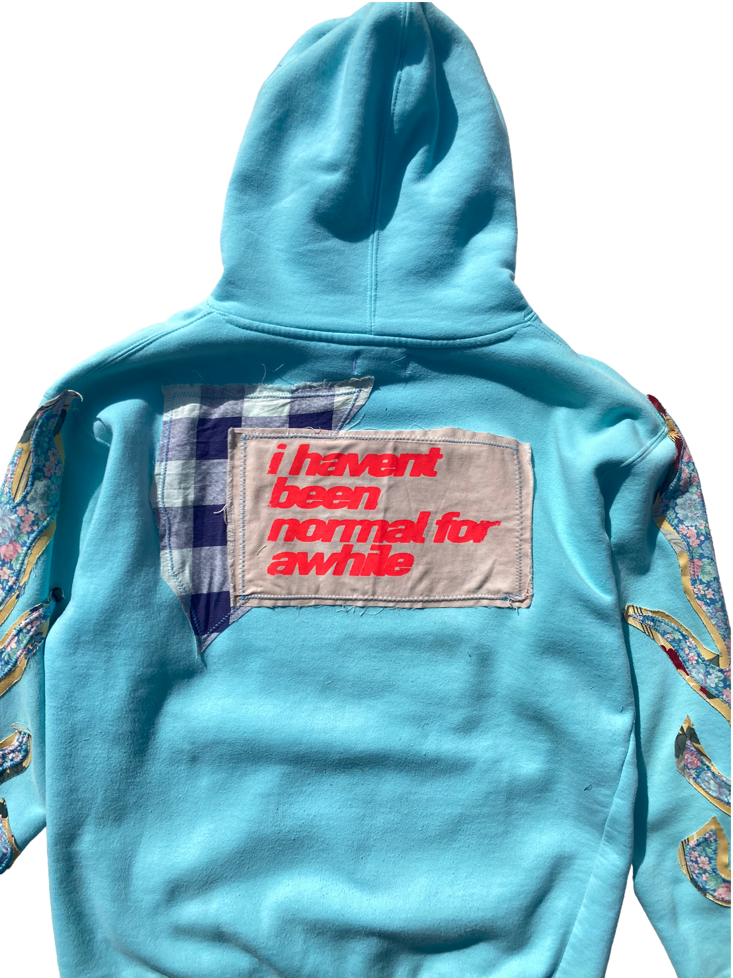 baby blue head hoodie